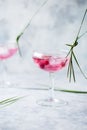 Pink mocktail close up. Beverage with rose and prosecco wine in drinkware. Exotic French Martini cocktail portion with crushed ice Royalty Free Stock Photo