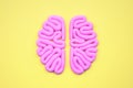 Pink model of human brain from above on yellow background, flat lay. Intelligence concept. Hemispheres mockup, layout. Royalty Free Stock Photo