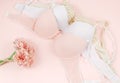 Pink modern lady essentials: bra and cotton panty. Fashionable lingerie, female underwear. Lace gentle panties and bra Royalty Free Stock Photo