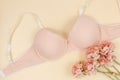 Pink modern lady essentials: bra and cotton panty. Fashionable lingerie, female underwear. Lace gentle panties and bra