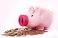 Pink money piggy bank saving euro coins Royalty Free Stock Photo