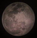 Pink Moon - April Full Moon