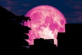pink moon back silhouette building over tree red sky