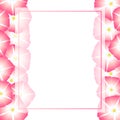 Pink Morning Glory Flower Banner Card Border. Vector Illustration