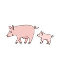 Pink mother sow and a piglet are walking somewhere, side view. Farm animals are smiling, child closed his eyes from the pleasure.