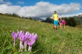 Pink mountain flower with family on a hike