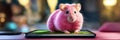 pink mouse sits on the tablet and looks Royalty Free Stock Photo