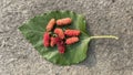 Pink Mulberry fruit on a leaf on a stone color background. copy space Royalty Free Stock Photo