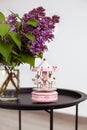 Pink Musical carousel and Bouquet of beautiful spring lilac flowers in vase on vintage coffee table, on an isolated white backgrou