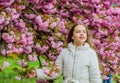 Pink is my favorite. Little girl enjoy spring. Kid pink flowers of sakura tree garden. Kid enjoying pink cherry blossom Royalty Free Stock Photo