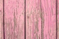 Pink painted wood board texture and background