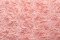 Pink natural wool with twists texture background. Cotton wool, white fleece carpet. Red fur rug with pattern Royalty Free Stock Photo