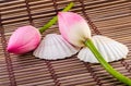 Pink Nelumbo nucifera flowers, close up, isolated, wood background. Royalty Free Stock Photo