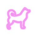 Pink neon icon husky isolated on white