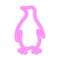Pink neon sign of penguin isolated on white background. Vector illustration