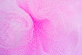 Pink net background Royalty Free Stock Photo