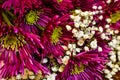 Pink New England Aster bouquet Royalty Free Stock Photo