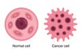 Pink normal cell and cancer cell comparison biological Royalty Free Stock Photo