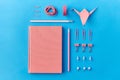 Pink notebook, pins, clips, pencils and rubbers Royalty Free Stock Photo