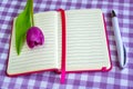 Pink notepad with lined paper, white ballpoint pen and one purple tulip on a white purple checkered textile background. Greeting Royalty Free Stock Photo