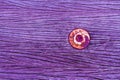 Pink of nut is rust on old wood floor. Royalty Free Stock Photo
