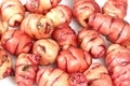 Pink Oca Tubers