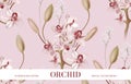 Pink ochid  tender background.  Vector realistic floral bouquet design: garden pink orchids flower, Orchidaceae with buds, soft Royalty Free Stock Photo