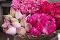 Pink offering flowers near a temple Royalty Free Stock Photo