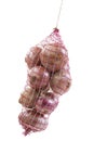 Pink onion hanging packed in a red net bag on white background Royalty Free Stock Photo