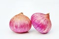 Pink onion isolated