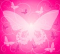 Pink Opaque Butterfly Background Royalty Free Stock Photo