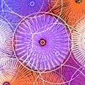 pink orange square spiral heart pattern pinwheel circle abstract illustration Royalty Free Stock Photo