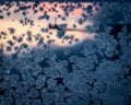 Pink and orange sunrise colors behind detail of ice crystals on glass