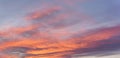 Pink orange sunset cirrus clouds on evening sky Royalty Free Stock Photo