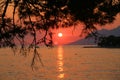 Sunset on the sea in Brela against pine trees, Makarska rivera, Dalmatia, Croatia Royalty Free Stock Photo