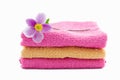 Pink and orange towels with anemone flower on it Royalty Free Stock Photo