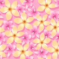 Pink and orange tropical flowers seamless pattern