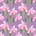 Pink orchid, cattleya on purple background. Seamless watercolor pattern