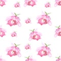 Pink orchid, cattleya on white background. Seamless watercolor pattern