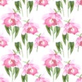 Pink orchid, cattleya on white background. Seamless watercolor pattern