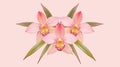 Pink Orchid Fireworks Banner, Flat Design. A modern, celebratory pattern for dynamic web headers or events. Royalty Free Stock Photo