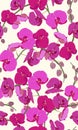 Pink orchid floral seamless pattern. Flowers bloom blossom foliage bouquet Royalty Free Stock Photo