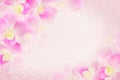 Pink orchid flower frame blooming in soft background with bokeh and glitter light ,copy space Royalty Free Stock Photo