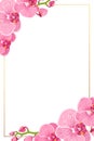 Pink orchid flowers border frame template card Royalty Free Stock Photo