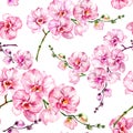 Pink orchid flowers phalaenopsis on white background. Seamless floral pattern. Watercolor painting. Hand drawn illustration. Royalty Free Stock Photo