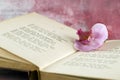 Pink orchid on old book