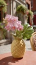 Pink orchid in pineapple-shaped vase on outdoor table with leafy design Royalty Free Stock Photo