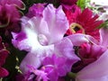 Pink orchid in pinky bouquet