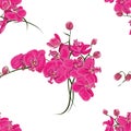 Pink orchid seamless vector pattern