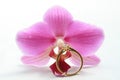 Pink orchid and solitaire engagement ring